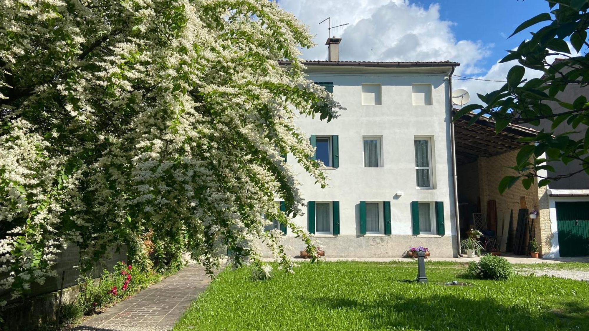 Magnolia 41 Daire Possagno Dış mekan fotoğraf